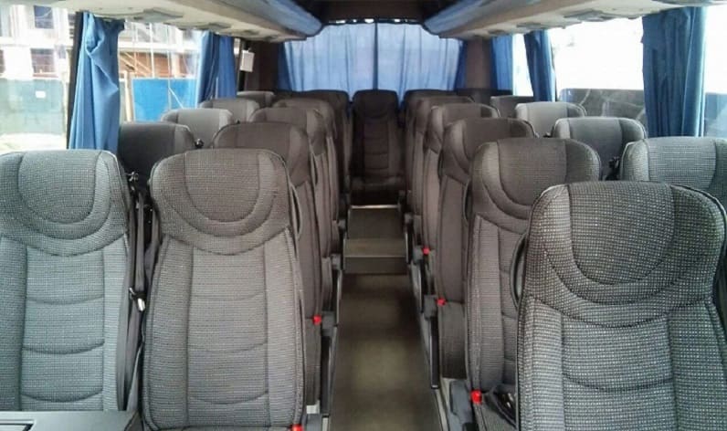 Czech Republic: Coach hire in Pardubice in Pardubice and Pardubice