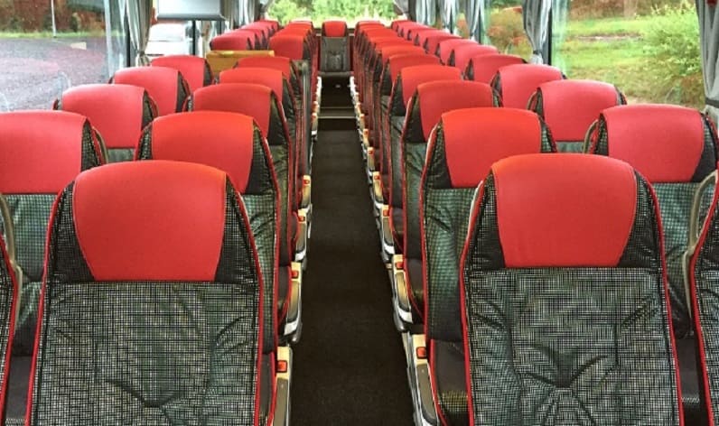 Czech Republic: Coaches rent in South Bohemia in South Bohemia and T&aacute;bor